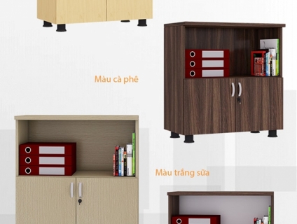 Tủ hồ sơ văn phòng thấp - 2 cánh mở