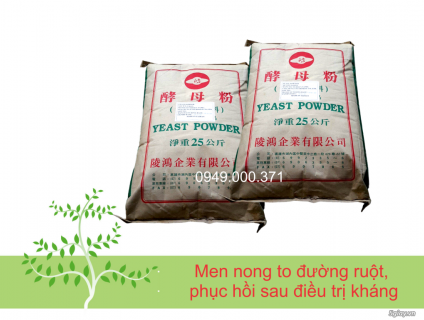 Men nong to đường ruột cho tôm (Yeast powder) giá tốt