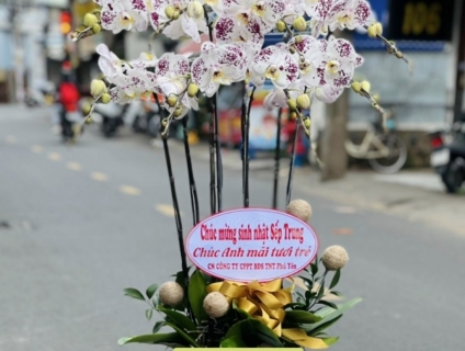 Dịch vụ hoa tươi uy tín nhất tphcm chuyên Lan Hồ Điệp VIP 0934013738