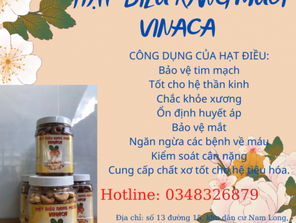 HẠT ĐIỀU RANG MUỐI VINACASHEW