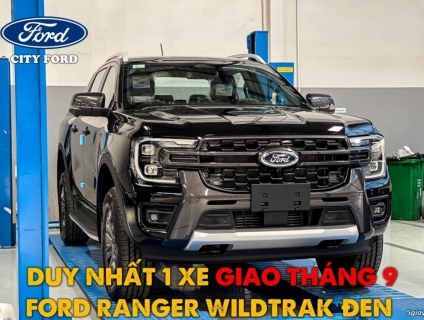 Ford Wildtrak (Đen/trắng) và XLS (Đen)