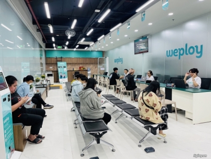 Weploy tuyển dụng