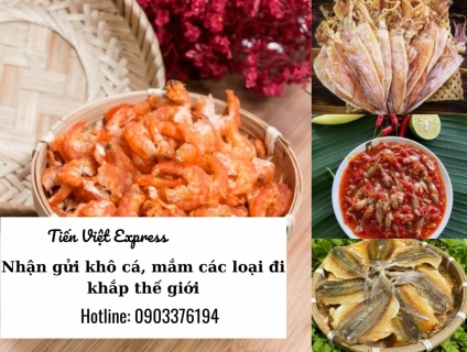 Chuyển Phát Nhanh Đi Nước Ngoài Tiến Việt Express