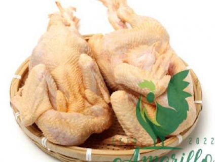 Các đặc điểm nhân biết được gà nuôi hữu cơ với gà truyền thống