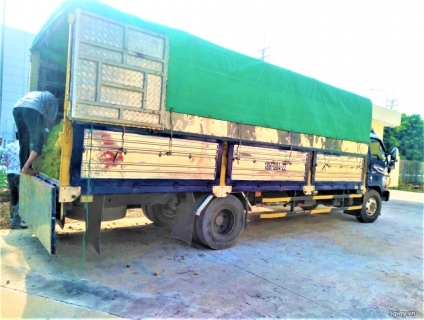 Cung cấp SLL cỏ nhung nhật tại Bắc Giang giá rẻ – 0336689899