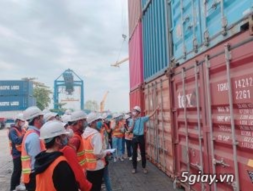 Đào tạo Xuất nhập khẩu thực hành thực tế tại Hải Phòng