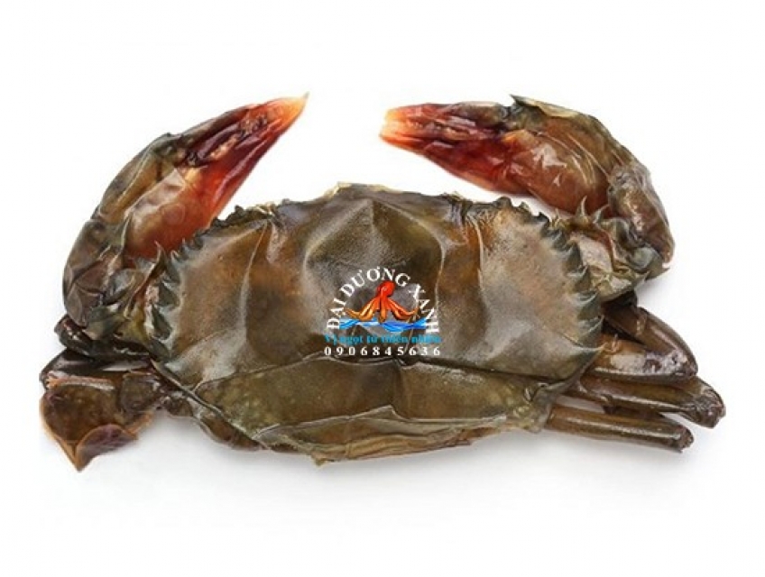 Cua lột Cà Mau tại Tp Hồ Chí Minh