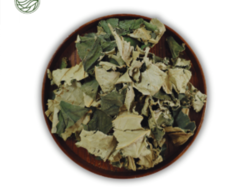 Thần Dược Tự Nhiên: Những Công Dụng Của Lá Sen Khô