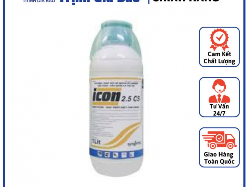 Dịch Vụ Diệt Mối Tận Gốc Tại Nhà