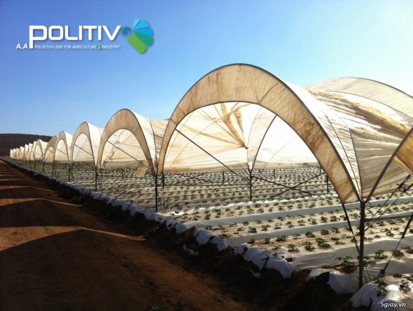 Thiết kế nhà lưới, báo giá lưới trồng rau sạch, lưới chắn côn trùng