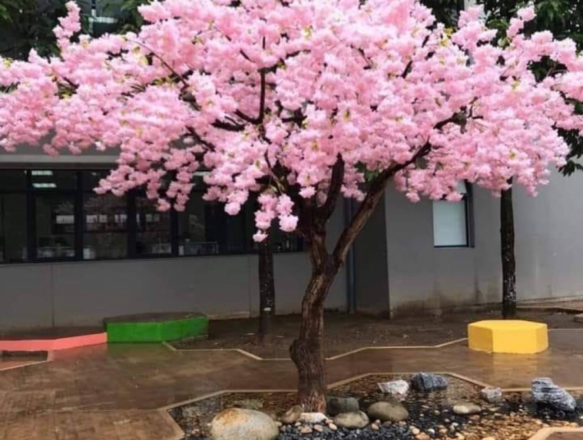 Cây hoa Anh đào giả