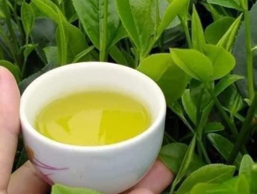 Chè sạch thái nguyên