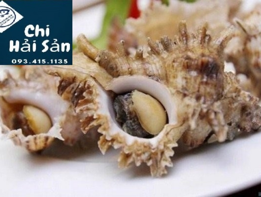 Giá ốc gai khổng lồ, bao ngon, số lượng lớn, giá rẻ nhất!