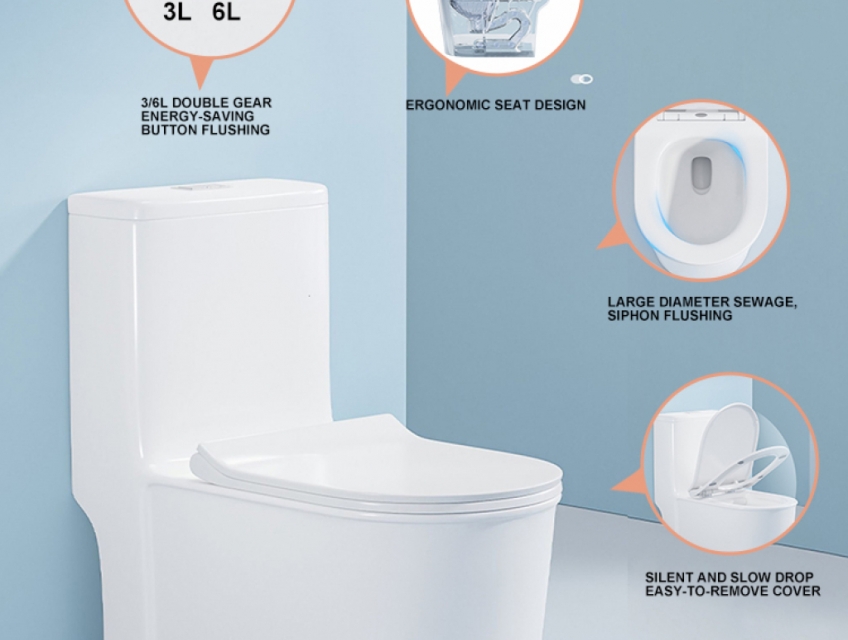 Xả nhanh bồn cầu nhập khẩu chính hãng thương hiệu L'ALPINA