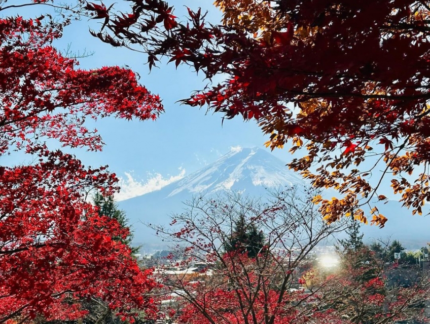 Tour Nhật Bản mùa thu lá vàng lá đỏ