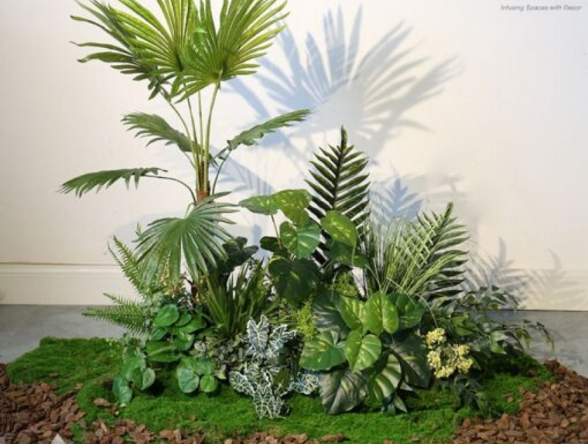 Mua tiểu cảnh cây giả nhận ưu đãi lớn, giống thật 90%, chất lượng cao