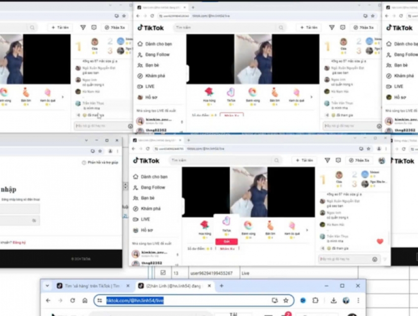 MKT TikPro - Tự động hóa seeding livestream TikTok