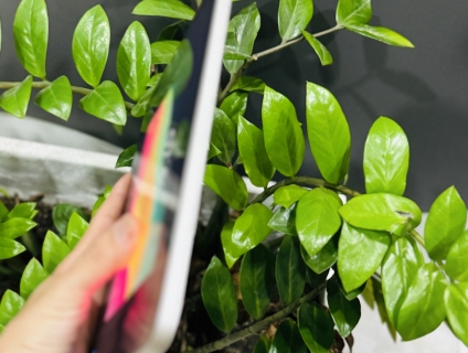 iPad Mini 6 64GB wifi - Màu starlight Máy likenew ngoại hình keng 99