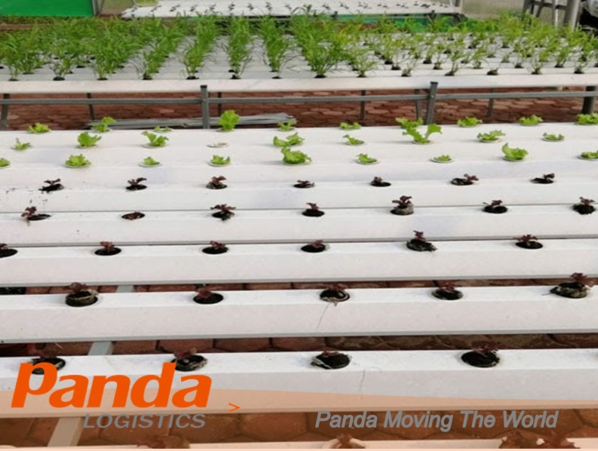 Thủ Tục Xuất Khẩu Ống Thủy Canh