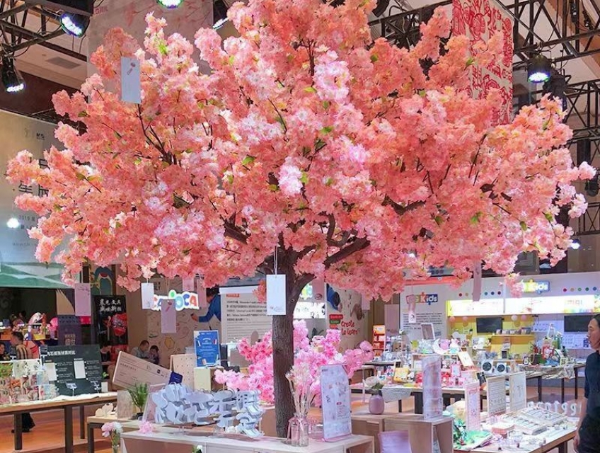 Bán cây giả trang trí văn phòng hiện đại, đủ mẫu mã, đủ kích thước