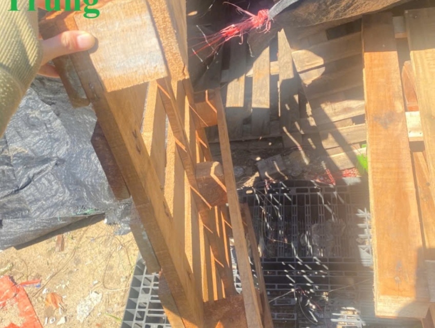 Pallet gỗ 1130x970x130mm – đồng hành cùng nhà máy lớn – 0799345292