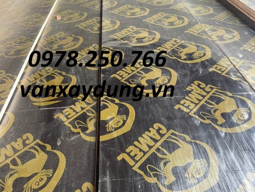 Ván ép phủ phim dài 4m Camel, Lạc Đà Tại Long AN, tây Ninh