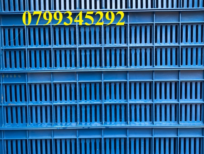 Rổ nhựa hở bít cho hải sản tại Đà Nẵng – 0799345292