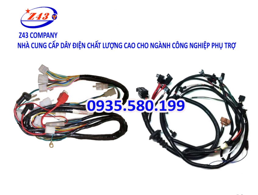 Z43 COMPANY - DÂY PHỤ TRỢ