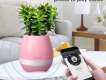 Loa Bluetooth kiêm chậu trồng cây 2 trong 1