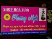 Shop hoa tươi !!! FreeShip toàn thành phố