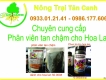 Phân bón cho hoa lan