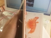 iphone 6s plus rose 128gb fullbox mã ZP