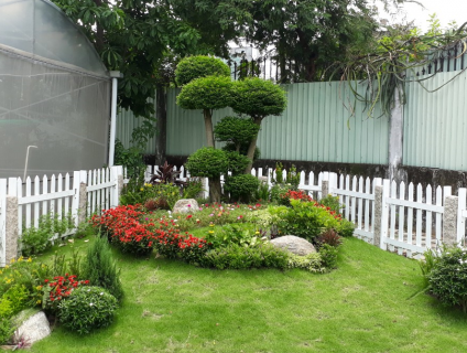 Thiết kế thi công sân vườn cảnh quan đẹp, giá rẻ - Phuoc Landscape
