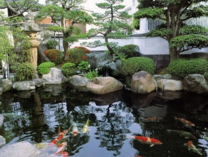 Thiết kế thi công hồ cá koi đẹp chuẩn Nhật Bản - Phuoc Landscape