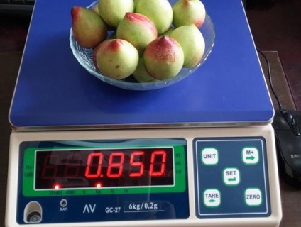 Cân bàn điện tử GC27 mức 3kg, 6kg, 15kg, 30kg đạt chuẩn quốc tế OIML