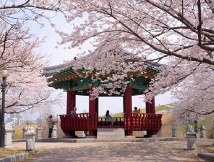 du lịch hàn quốc thả ga với mức giá rẻ nhất thị trường