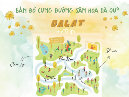 Kinh nghiệm săn hoa dã quỳ Đà Lạt để có tấm ảnh đẹp nhất