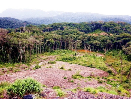 TOUR ĐÀ LẠT 1 NGÀY –  KHỞI HÀNH TỪ NHA TRANG