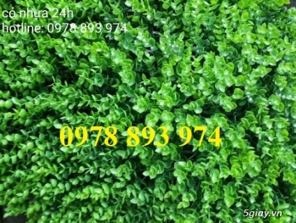 Cỏ nhựa trang trí tường giá rẻ tại Hà nội
