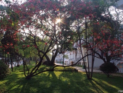 Ba Vì resort, nghỉ dưỡng ở non cao