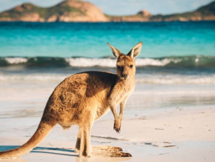 Dịch vụ làm visa du lịch Úc