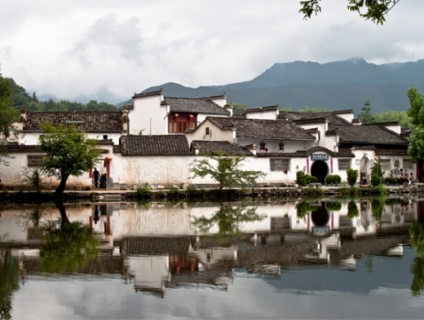 Tour du lịch trong và ngoài nước