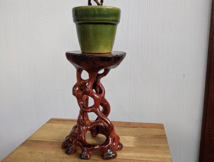 Đôn gỗ hương trưng cây bonsai.