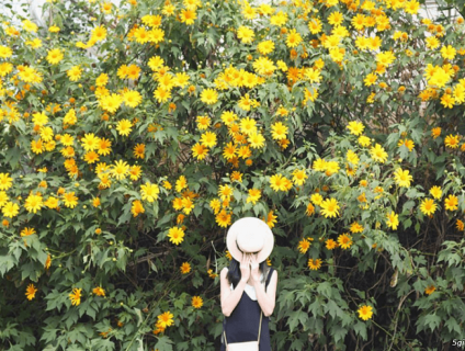 tour du lịch Ba Vì