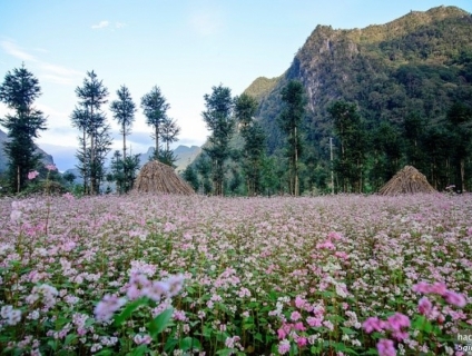 tour Du lịch Hà Giang