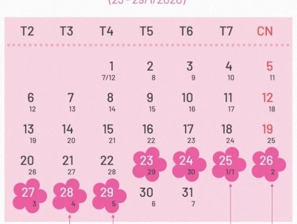 Đặt vé máy bay tết 2020 mua vé tết sớm để có giá rẻ