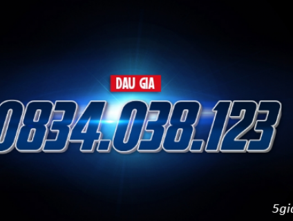 Đấu giá sim vinaphone tiến 123. Endtime 22h59p 26/10/2019