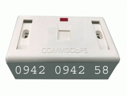Hạt mạng cat5e cat6 Commscope/AMP chính hãng chuyên chạy dự án