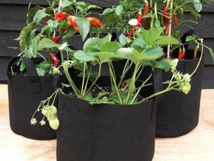 Vải nỉ may túi trồng cây