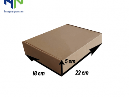 Hộp carton nắp gài kích thước 22x18x5 (cm)